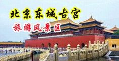 被乞丐插小穴午夜影院中国北京-东城古宫旅游风景区