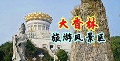 淫屄屄视频中国浙江-绍兴大香林旅游风景区